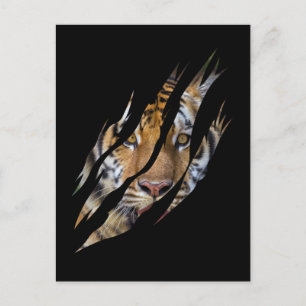 Lion Face Tiger Safari Claw Torn Postkarte