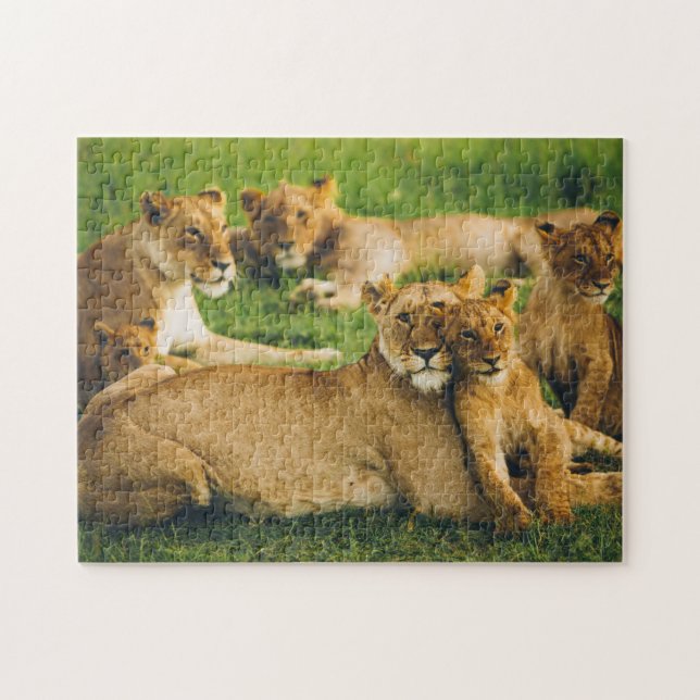 Lion Family Mother Cubs Baby Lions Jungle Savannah Puzzle (Horizontal)
