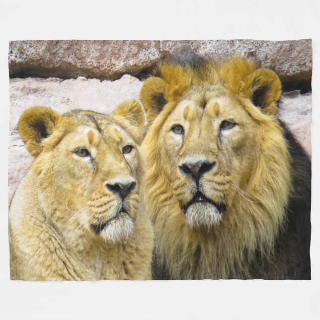 Lion Fleece Blanket (Vorderseite (Horizontal))