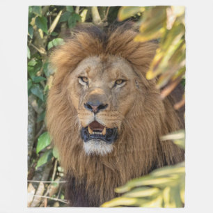 Lion Fleece Blanket