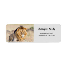Lion Foto personalisiert Rücksendeadresse