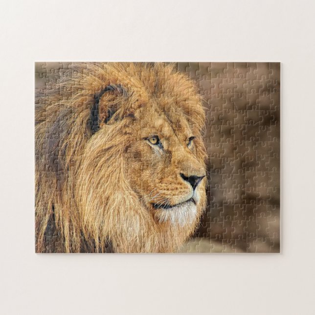 Lion Foto Portrait Puzzle (Horizontal)