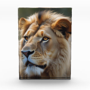Lion Fotoblock