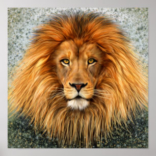 Lion Fotografie Malgrafiebild Poster
