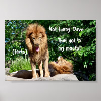 Lion-Furzen