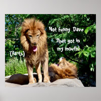 Lion-Furzen
