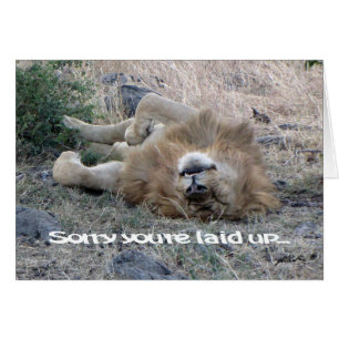 Lion 'gelegten' Card (Masai Mara)