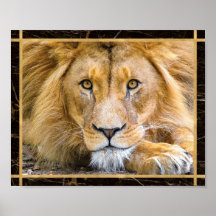 Lion-Gesichtshälfte Brillantes Foto Image Print Po