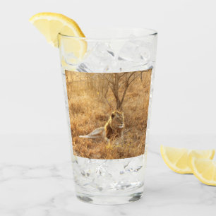 Lion Glas