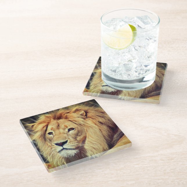 Lion Glasuntersetzer (Schrägansicht)