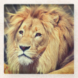 Lion Glasuntersetzer