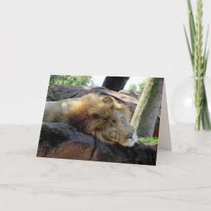 Lion Greetin Card Karte