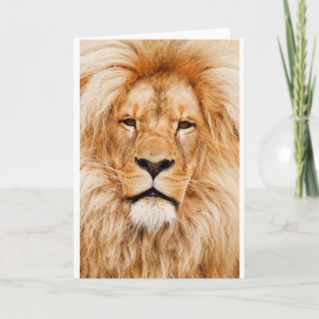 Lion Greeting Card Dankeskarte (Vorderseite)