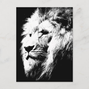 Lion Head Modern Black & White Pop Art Picture Postkarte