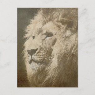 Lion Head of the King Modern Pop Art Template Anim Postkarte