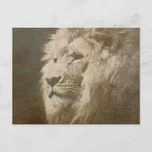 Lion Head of the King Modern Pop Art Template Postkarte
