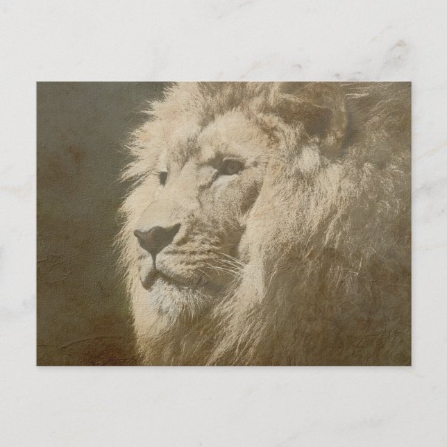 Lion Head of the King Modern Pop Art Template Postkarte (Vorderseite)