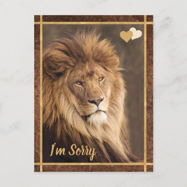 Lion I'm Sorry Postkarte (Vorderseite)