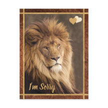 Lion I'm Sorry