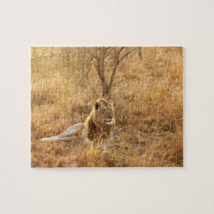Lion Jigsaw Puzzle