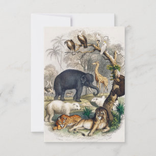 LION JUNGLE BEAR ELEPHANT TIGER RSVP KARTE