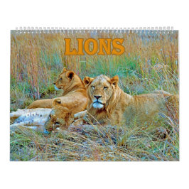 lion  kalender