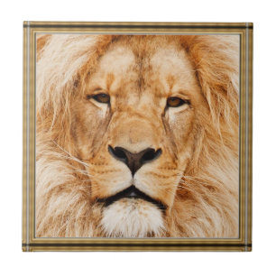 Lion Keramik Tile Fliese