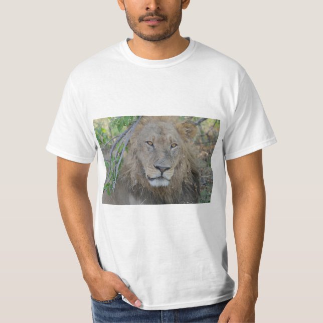 Lion King Focused T-Shirt (Vorderseite)