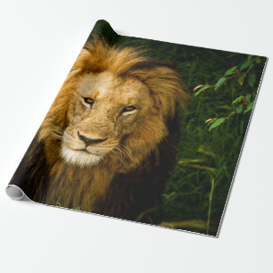 LION KING IM JUNGLE GESCHENKPAPIER