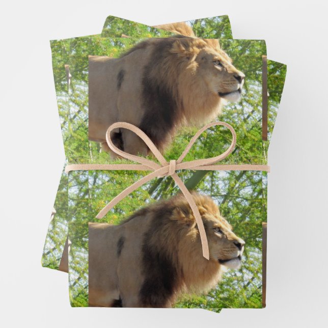 Lion - König des Dschungels - Jeden Anlaß Geschenkpapier Set (Beispiel)