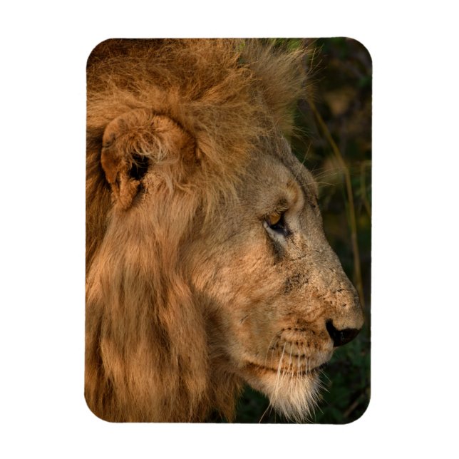 LION Kühlschrank Magnet IHRE Fotovorlage (Vertikal)