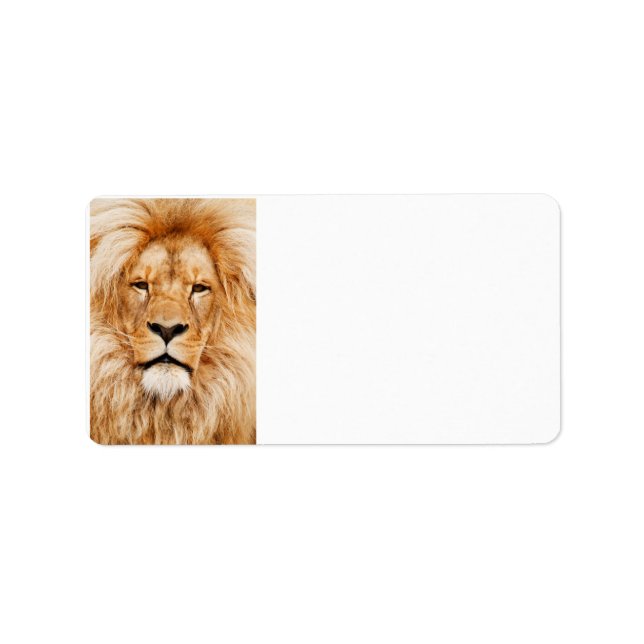 Lion Labels Adressaufkleber (Vorne)