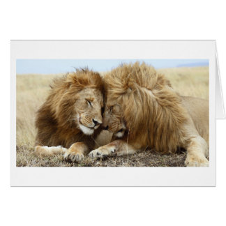 Lion Liebe