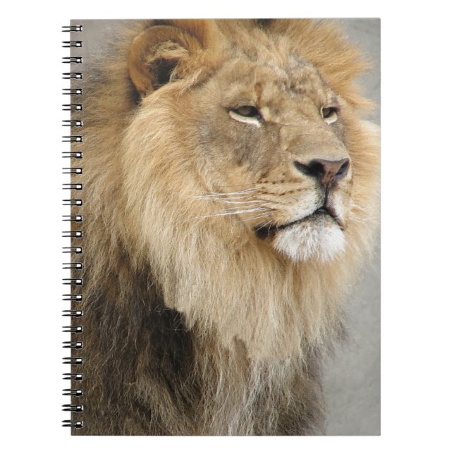 Lion Lovers Art Notizblock (Vorderseite)