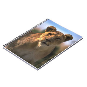 Lion Lovers Female Lioness Notizblock