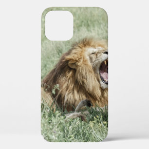 LION LYING ON GREEN GRASS WÄHREND DES TAGES Case-Mate iPhone HÜLLE