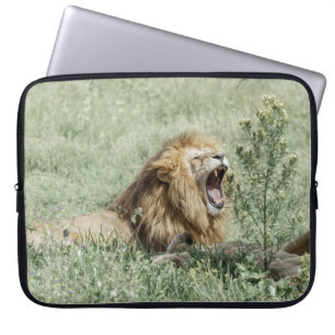 LION LYING ON GREEN GRASS WÄHREND DES TAGES LAPTOPSCHUTZHÜLLE