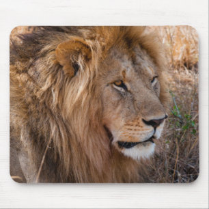 Lion Maasai Mara National Reserve, Kenia Mousepad