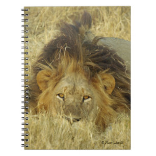 Lion Male Notizblock