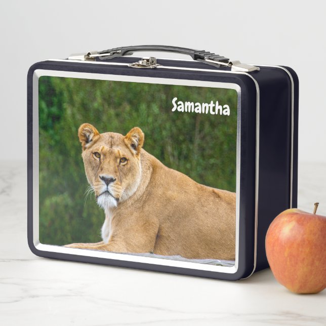 Lion Metal Lunchbox (Beispiel)