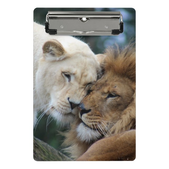 Lion Mini Klemmbrett (Vorderseite)