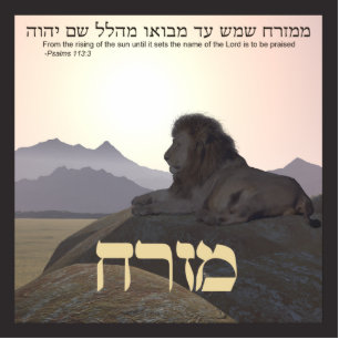 Lion Mizrach Fotoskulptur Magnet
