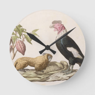 Lion monkey and condor, native to Chile or Ecuador Runde Wanduhr