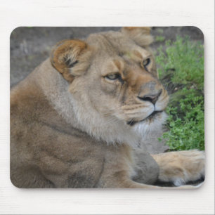 Lion Mousepad