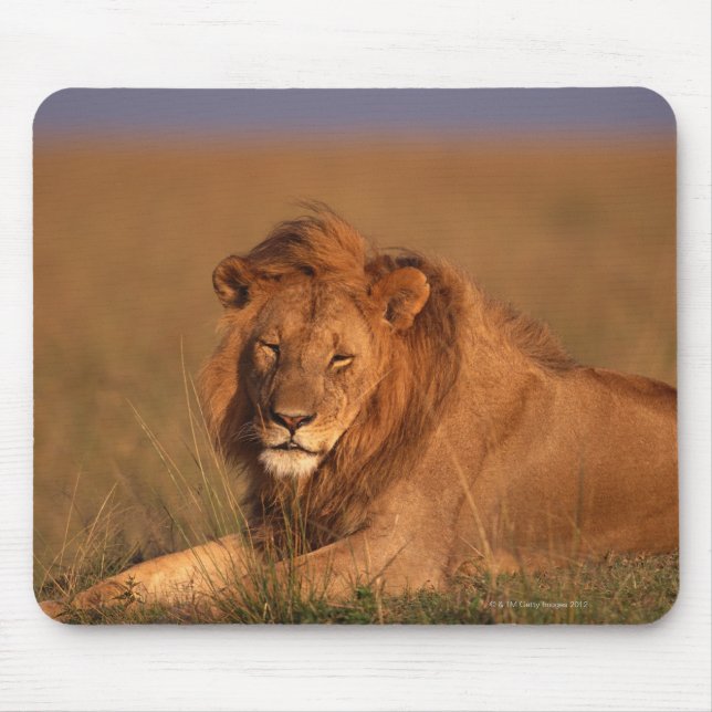 Lion Mousepad (Vorne)