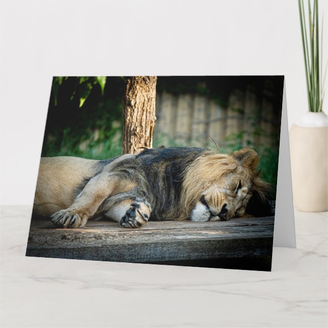 LION NICKERCHEN FUNNY BIRTHDAY CARD KARTE (Vorderseite)