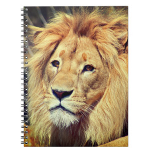 Lion Notizblock