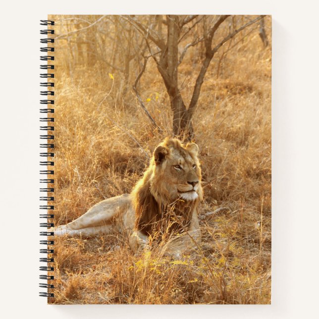 Lion Notizbuch (Vorderseite)