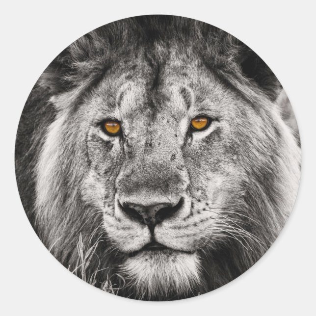 Lion of Judah - Rastafara - Jah Rastafari Sticker (Vorderseite)