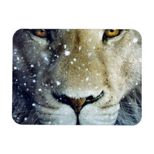 Lion of Judah - Rastafara - Reggae Rasta Magnet